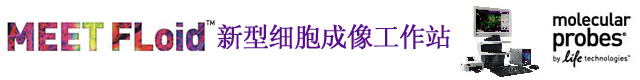 lifetech